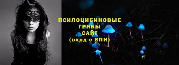 прущие крисы Алексин