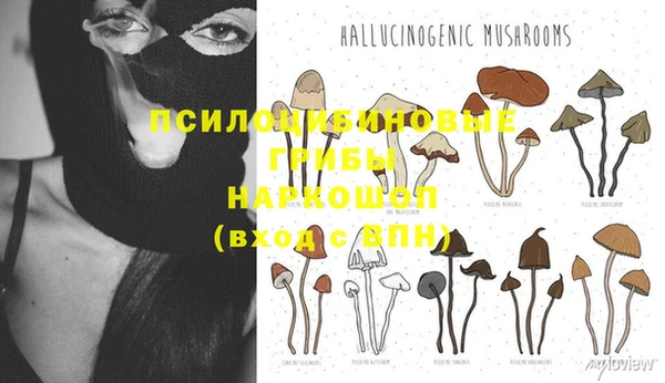 меф Абаза